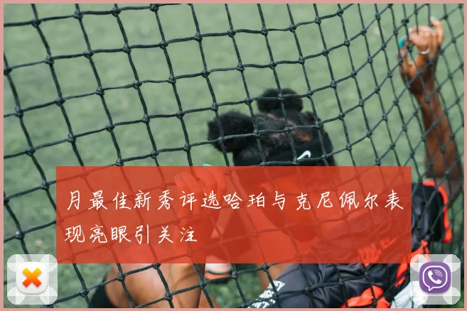 月最佳新秀评选哈珀与克尼佩尔表现亮眼引关注